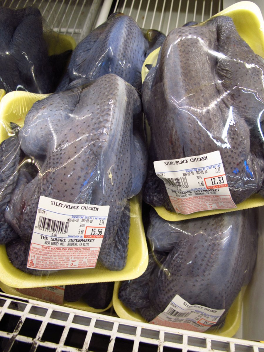 gà butcher đá cựa sắt gà butcher đá cựa sắt